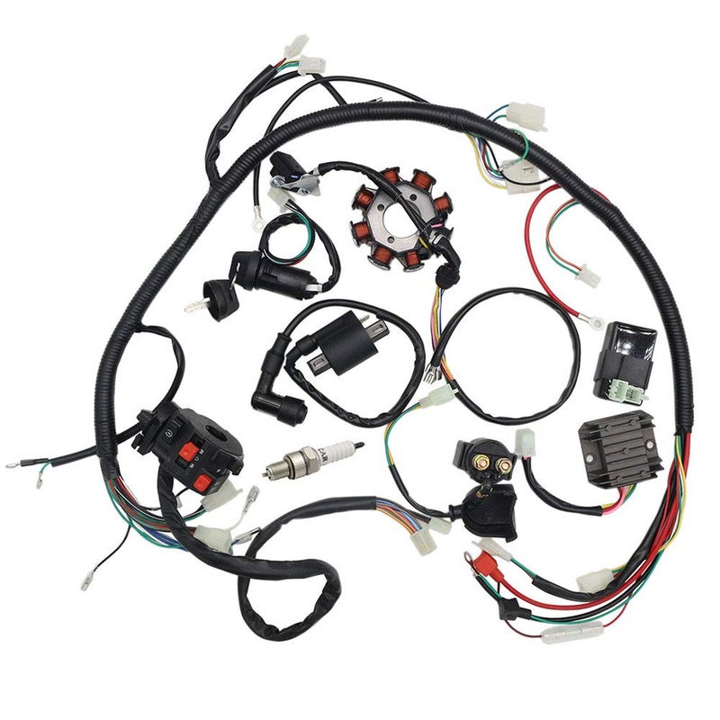 Bravedog Complete Wiring Harness kit Wire Loom Electrics Stator Coil CDI for ATV Quad 4 Four Wheelers 150CC 200CC 250CC Go Kart Dirt Pit Bikes - Image 1